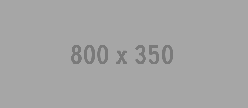 800x350